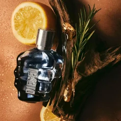 Only the Brave Eau de Toilette