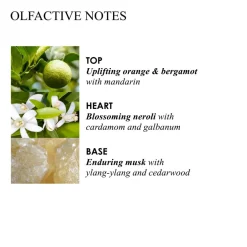 Orange & Bergamot Fine Liquid Hand Wash