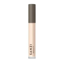 Perfecting Concealer