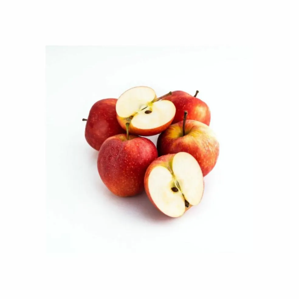 Phytonutrient Hairroot Serum
