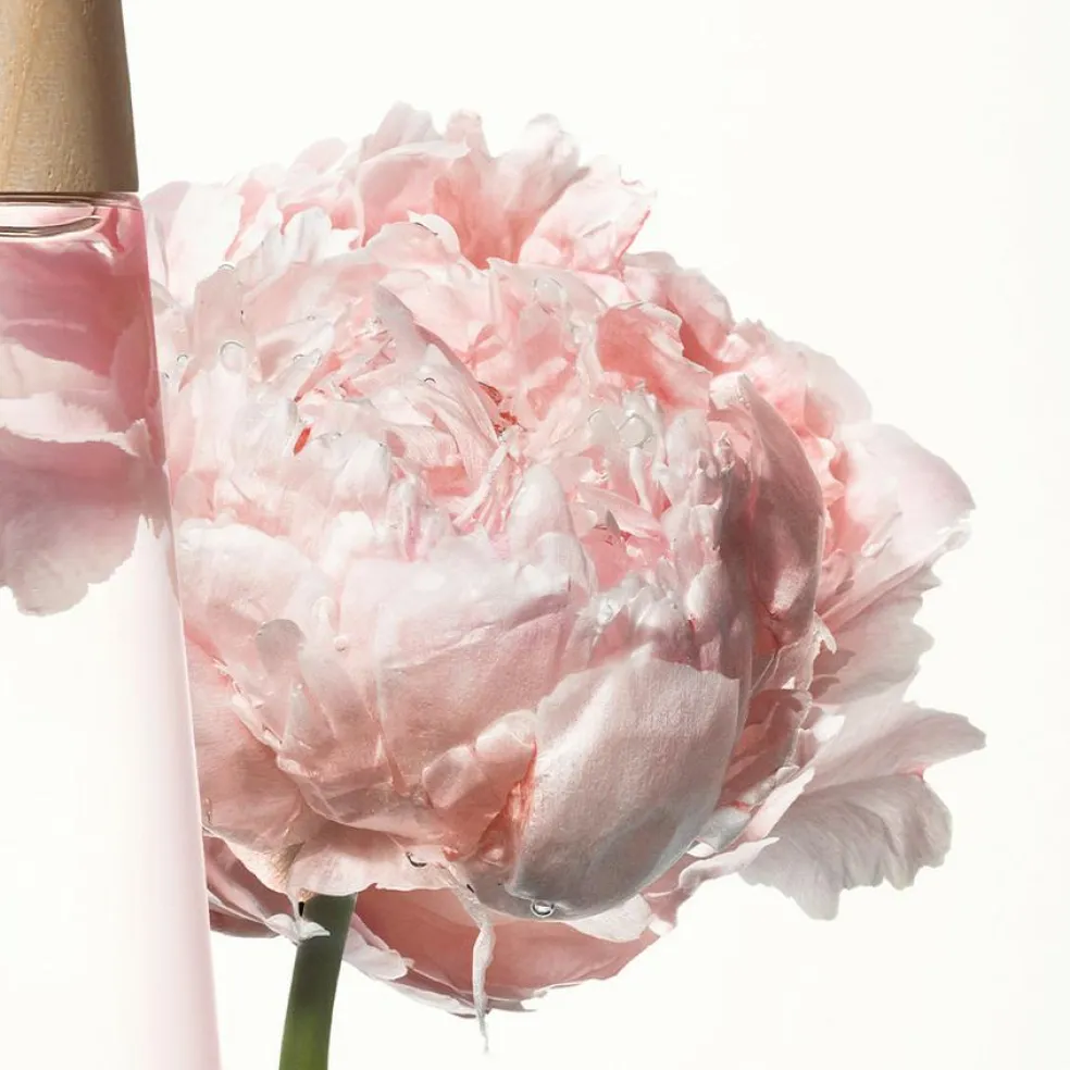 Pivoine
