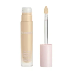 Power Plush Concealer