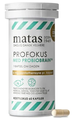 Profokus
