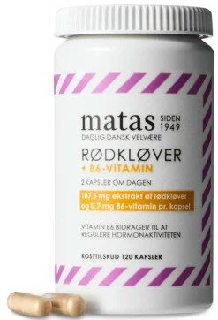 Rødkløver