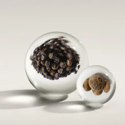 Re-Charge Black Pepper Eau De Parfum
