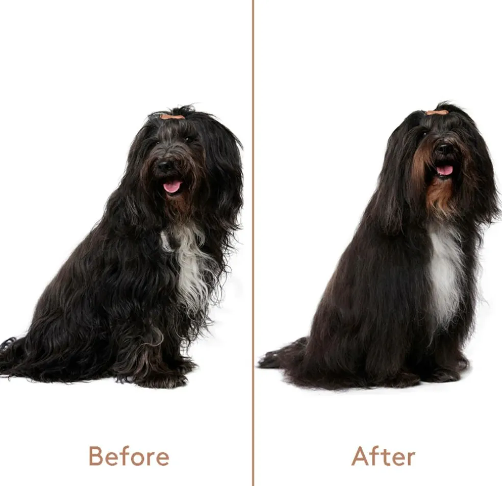 Refresh+Detangle Groomingspray