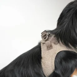 Saga Step-in Harness