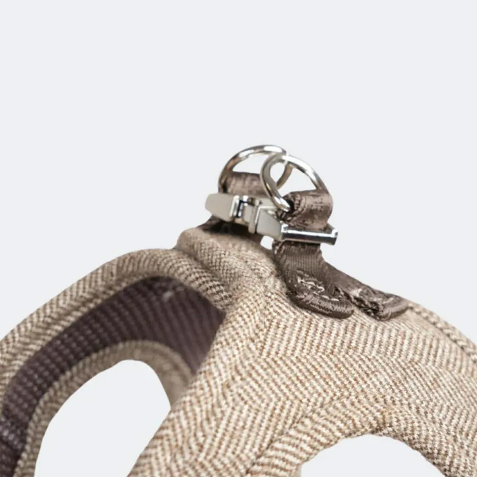 Saga Step-in Harness
