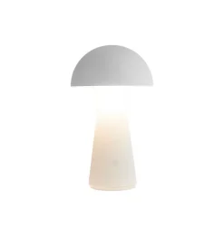 Sam Lampe