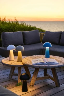 Sam Lampe Sort