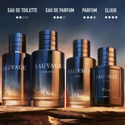 Sauvage Eau de Toilette