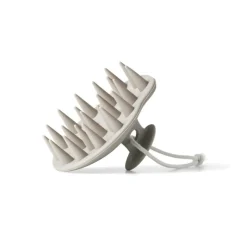 Scalp Brush