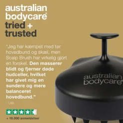 Scalp Brush