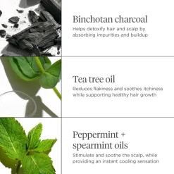 Scalp Revival Charcoal + Tea Tree Cooling Hydration Scalp Mask