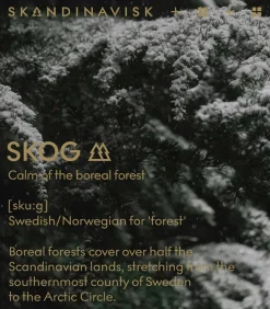 Scent Diffuser