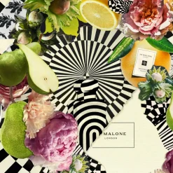 Scent Layering Discovery Samples Collection