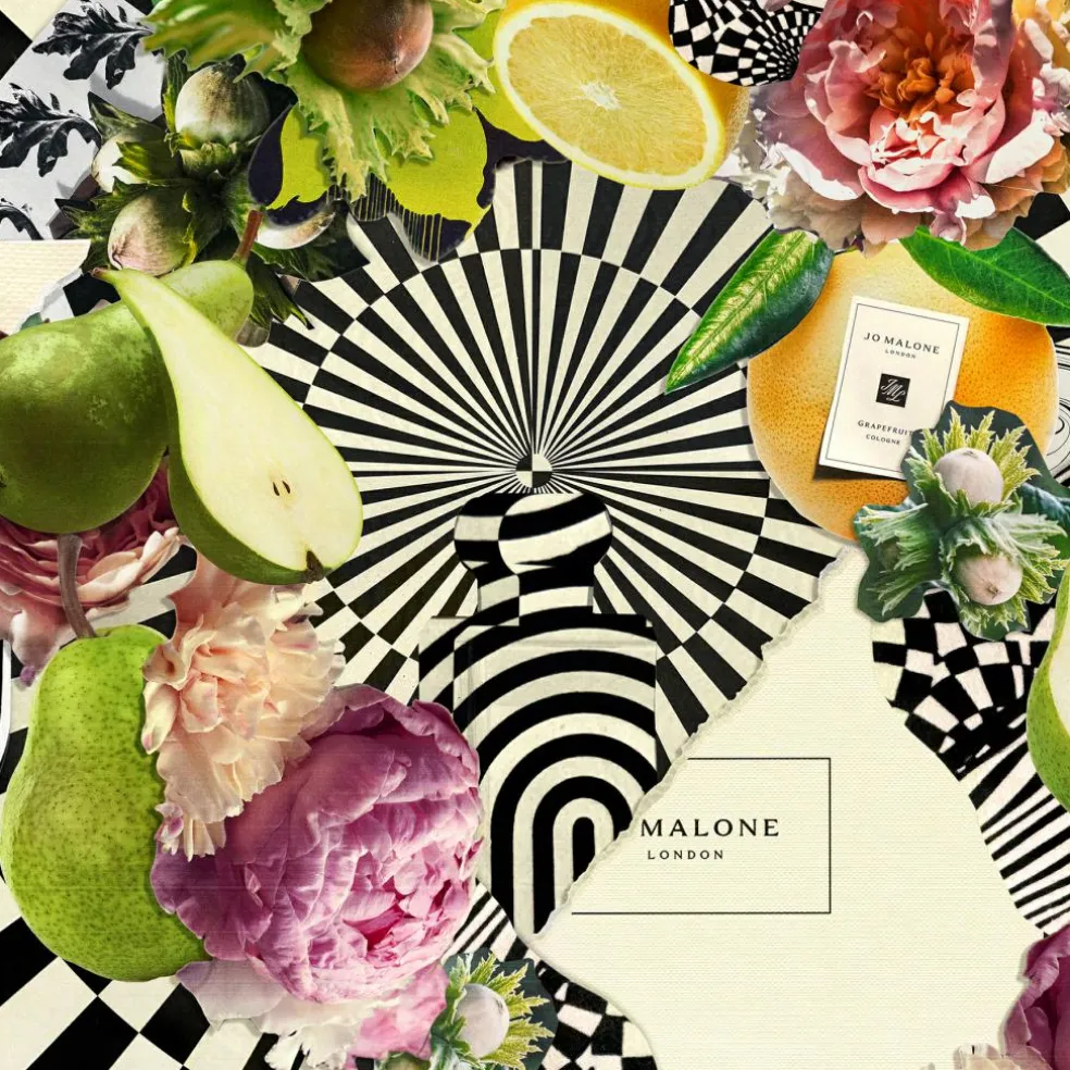 Scent Layering Discovery Samples Collection