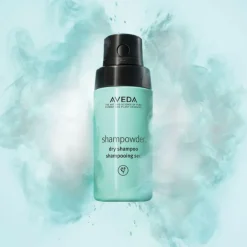 Shampowder Dry Shampoo