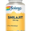 Shilajit 100 mg Veg