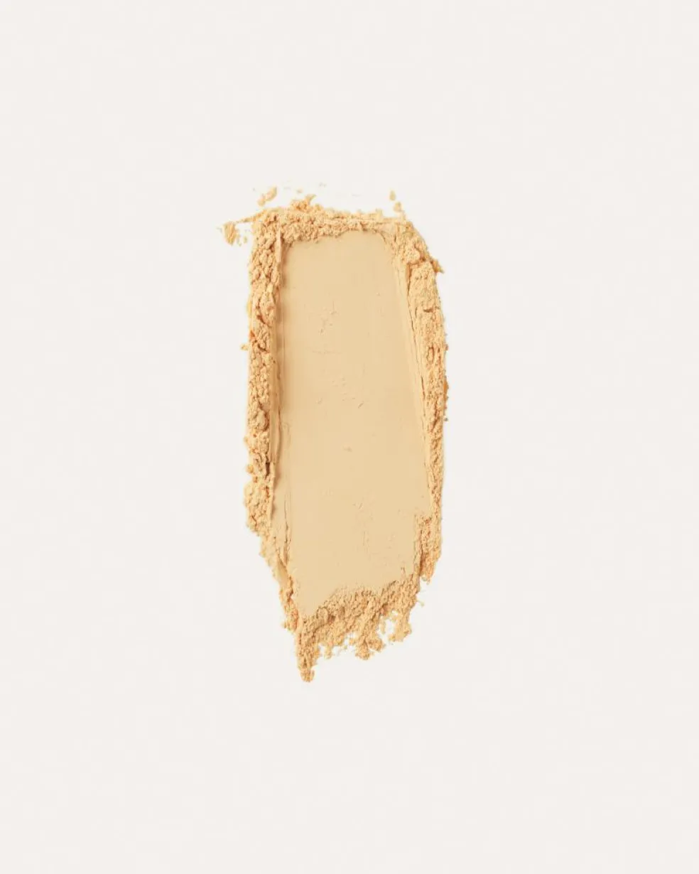 Skin Light Translucent Loose Setting Powder