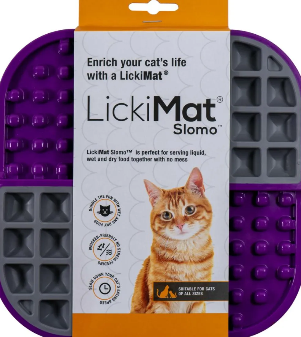 Slomo Kat