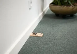 Smækfælde mod Mus