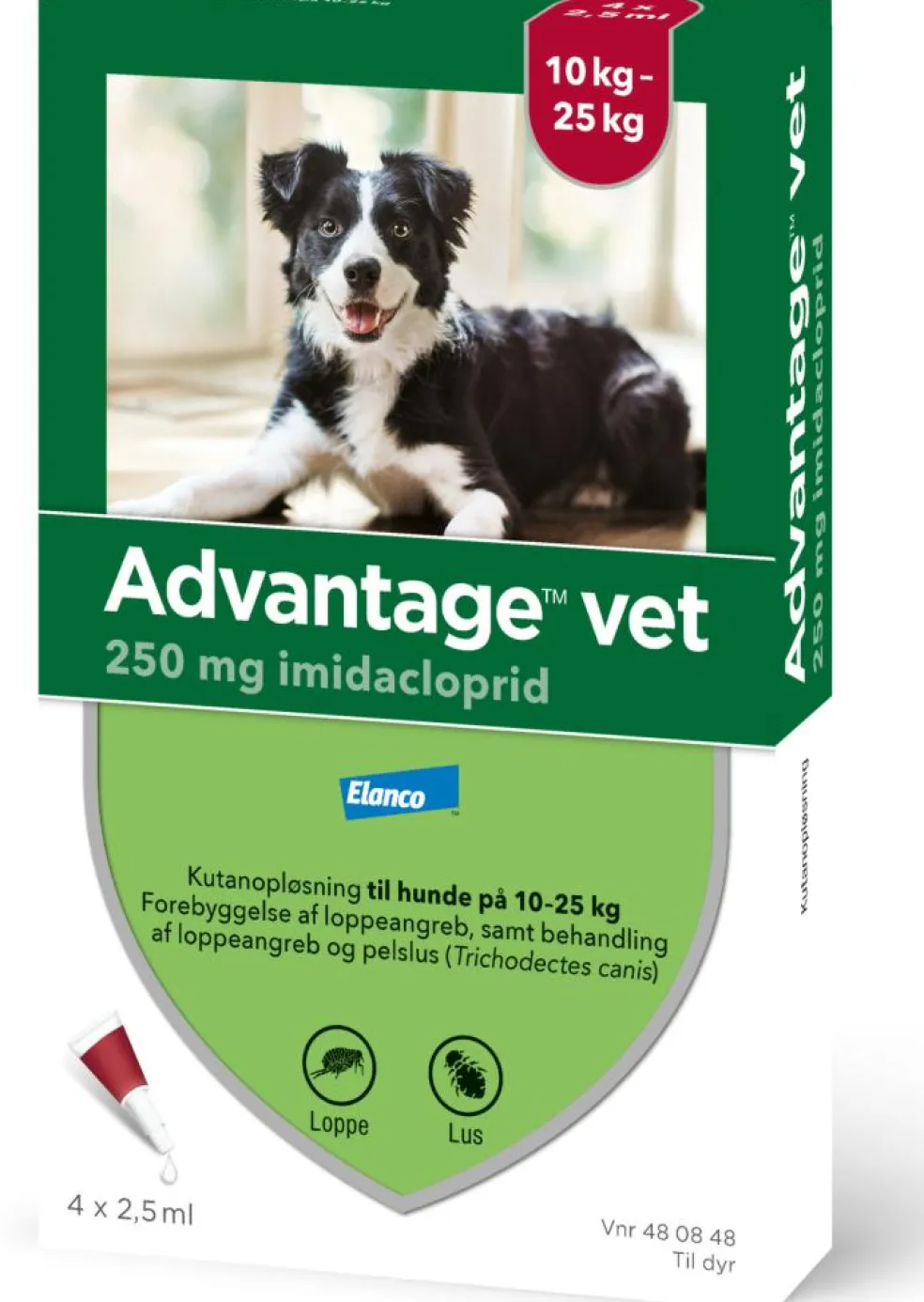 Spot-on til Hund