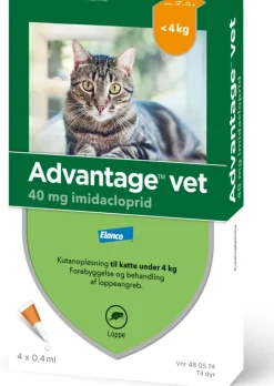 Spot-on til Kat