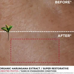 Super Restorative Day Cream For All Skin Types