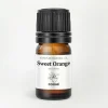 Sweet Orange Essential Oil
