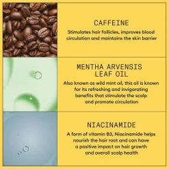 System 1 Scalp Treatment for Thinning Hair