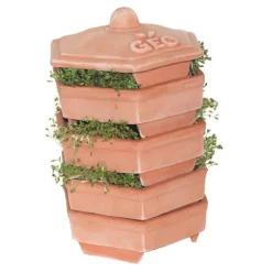 Terracotta Sprouter