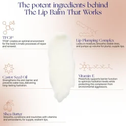 The Lip Balm