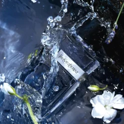 The Y Man Eau de Toilette