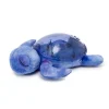 Tranquil Turtle