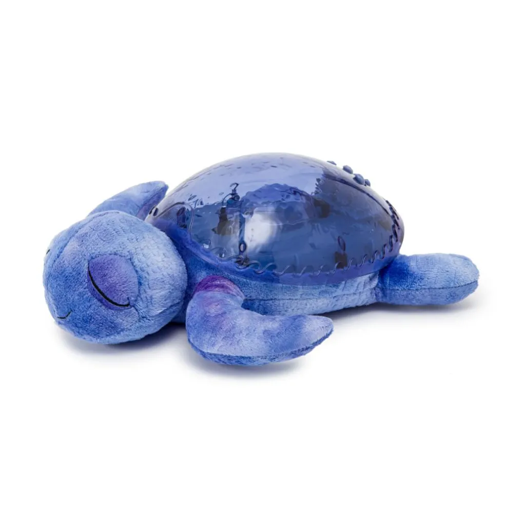Tranquil Turtle