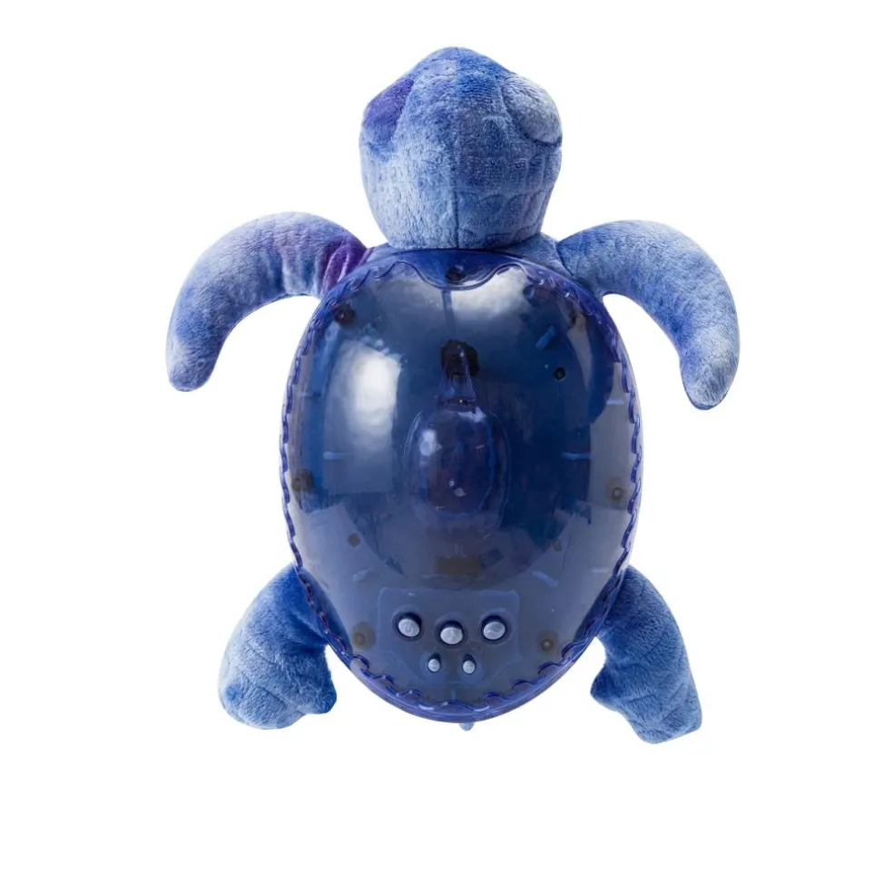 Tranquil Turtle