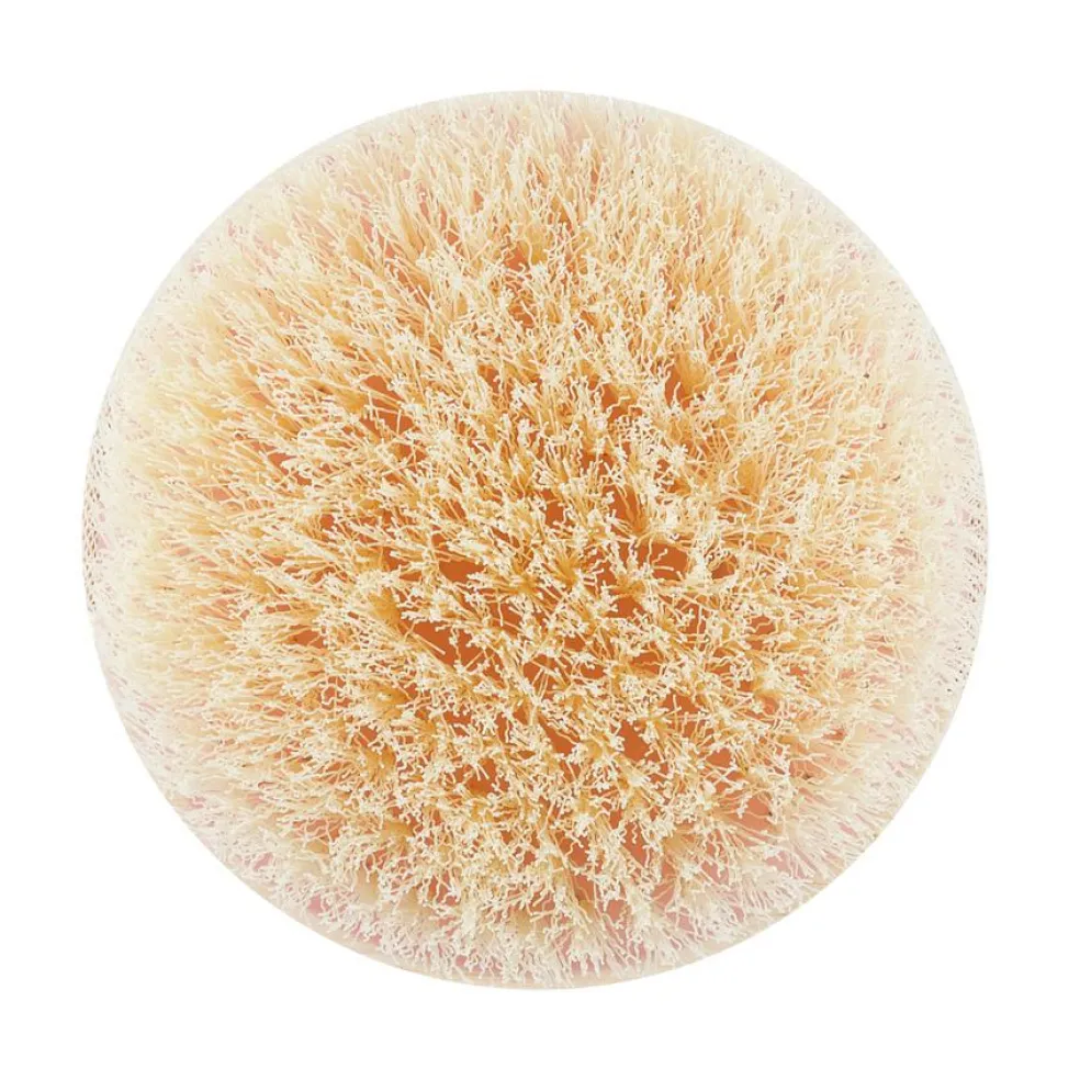 Tørbørste