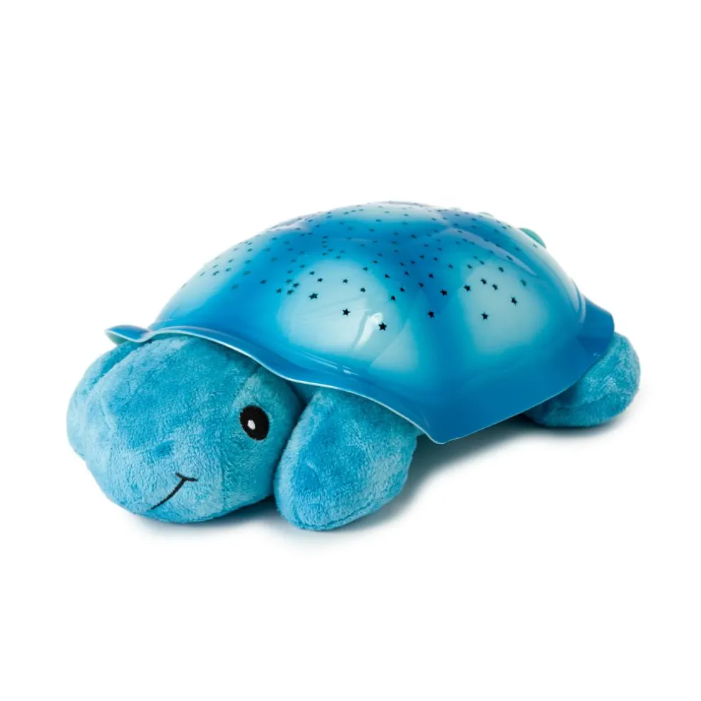 Twilight Turtle