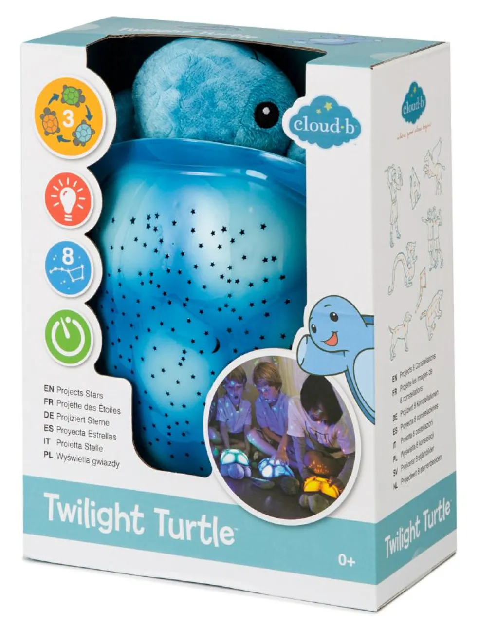 Twilight Turtle