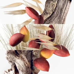 Un Jardin à Cythère Eau De Toilette