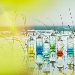Un Jardin sur le Toit Eau de Toilette