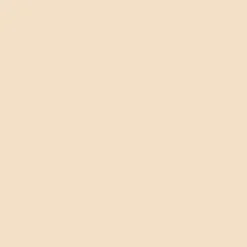 Velvet Blur Setting Powder