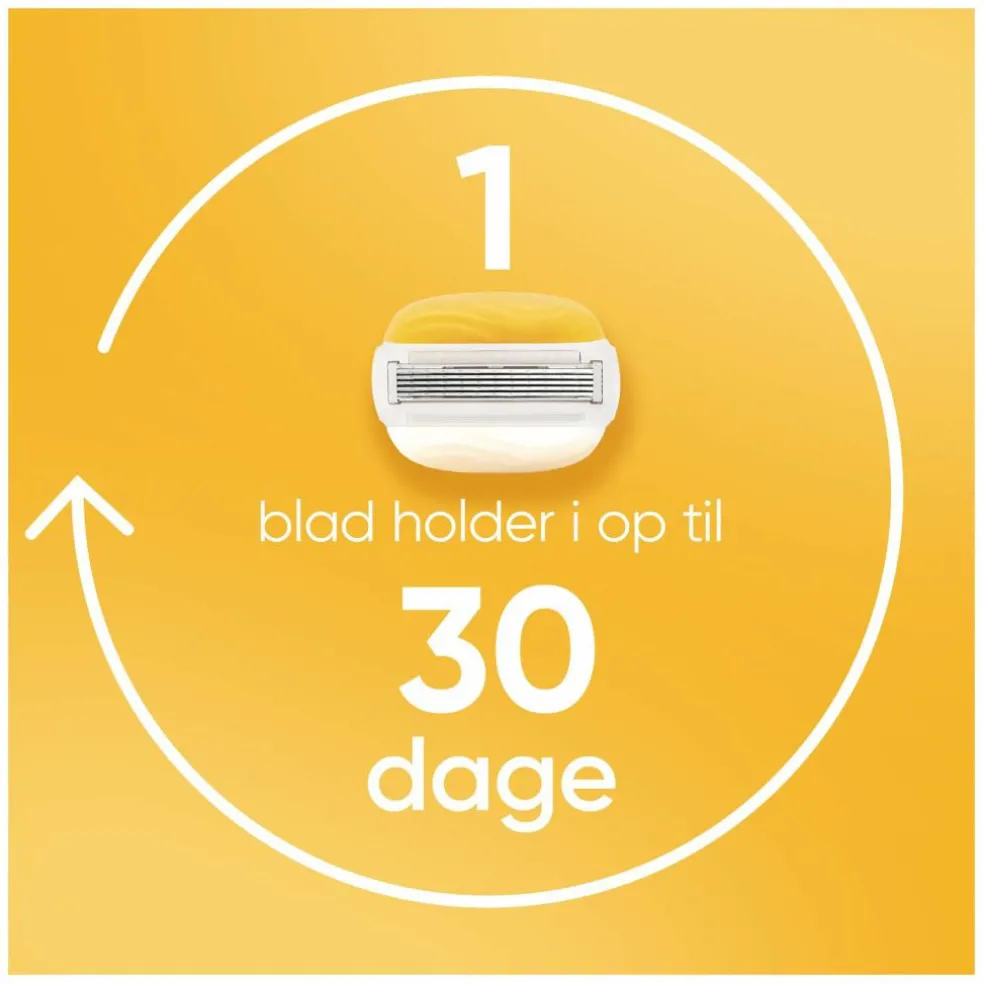 Venus Pro Comfortglide Coconut Barberblade Largepack