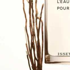 Vetiver