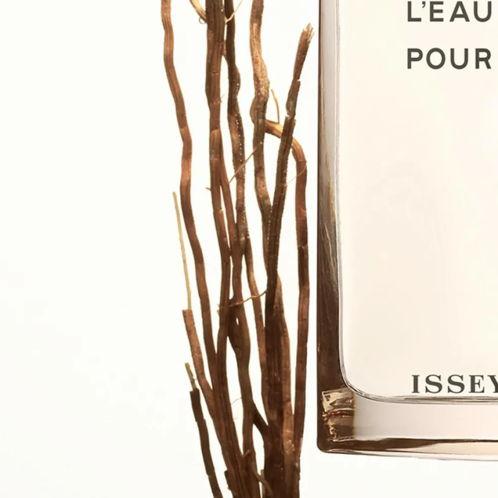 Vetiver