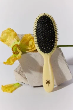 Wet Brush