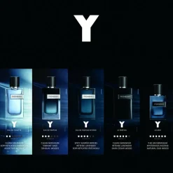 Y L'Elixir