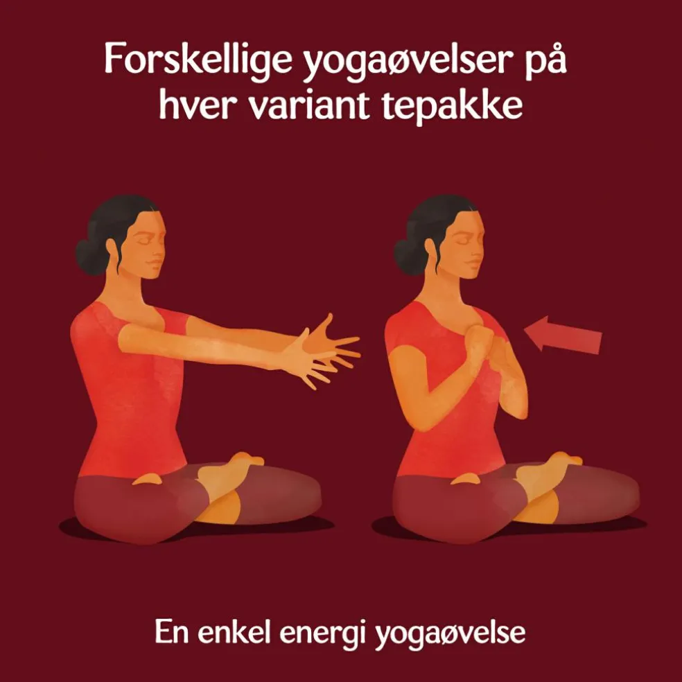 Yogi Tea Classic Ø